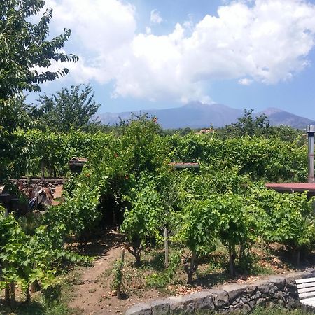 Sorbello Dell'Etna Villa Milo Luaran gambar